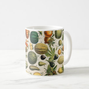 Caneca De Café Ilustração Científica Botânica Vegetal fruta