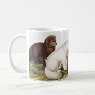 Caneca De Café Ilustração da Raposa Árctica (Vulpes lagopus)