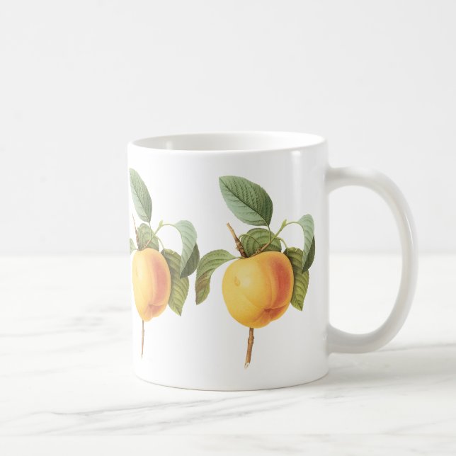 Caneca De Café Ilustração de comida de fruta antiga, maçã Calvill (Direita)