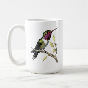 Caneca De Café Ilustração de Hummingbird de Vintage Anna