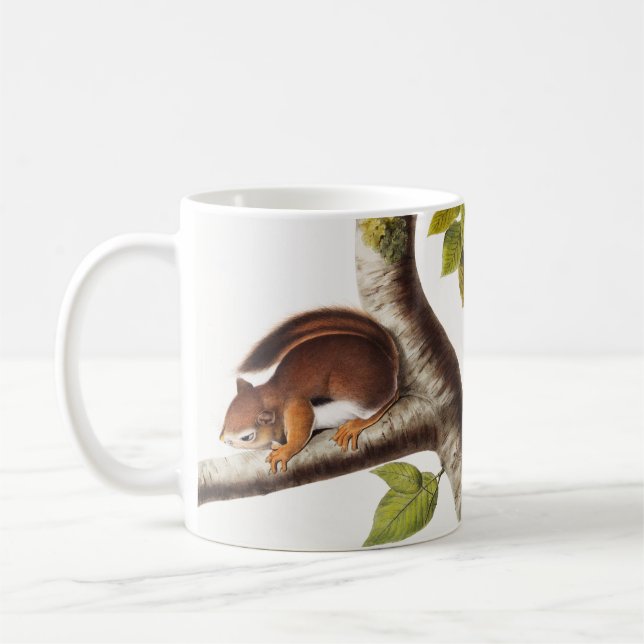 Caneca De Café Ilustração do Esquilo Columbiano de Richardson (Esquerda)
