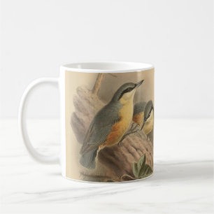 Caneca De Café Ilustração Vintage de Nuthatch