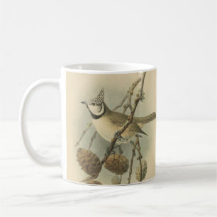 Caneca De Café Ilustração Vintage do Tit Crestado Europeu