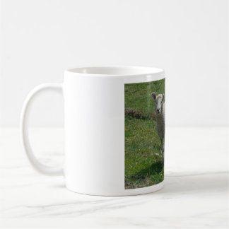Caneca De Café Imagem de Cordeiro
