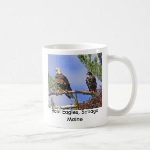 Caneca De Café IMG_0411cn, águias americanas, Sebago Maine