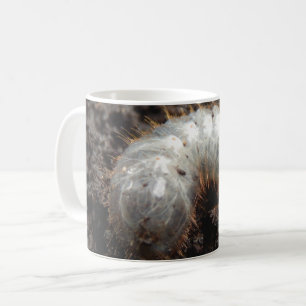 Caneca De Café Inseto Chafer Larva