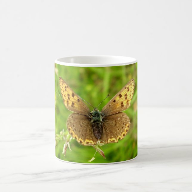 Caneca De Café Inseto De Borboleta De Cobre Púrpura (Centro)
