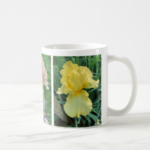 Caneca De Café Iris Elegante, Cor-de-rosa amarela