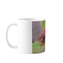 Irish Setter por um Burning Bush