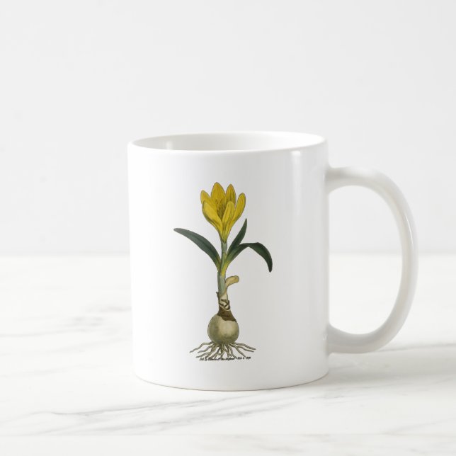 Caneca De Café Jardim Botânico de Tulipa Amaryllis Flor (Direita)