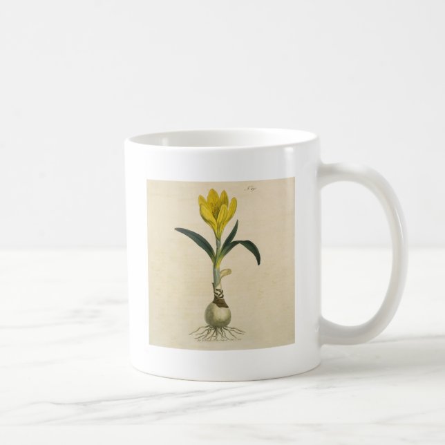Caneca De Café Jardim Botânico de Tulipa Amaryllis Flor (Direita)