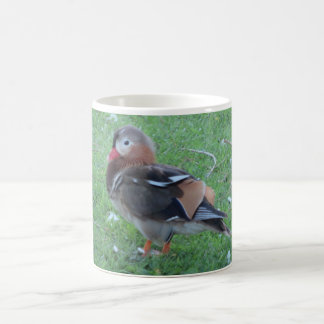 Caneca De Café Jovem Mandarin Duck Mug