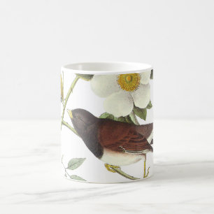 Caneca De Café Junco de olhos escuros de Audubon