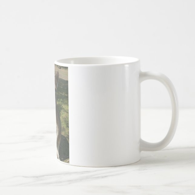 Caneca De Café Kangarooo curioso (Direita)