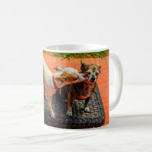 Caneca De Café Kealani & Coco Beijando Mug