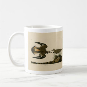 Caneca De Café Kildeer Plover (Killdeer) Aves de Audubon da Améri