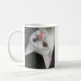 Caneca De Café Kitten Mug, Funny Mug