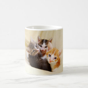 Caneca De Café Kitten Trio Mug