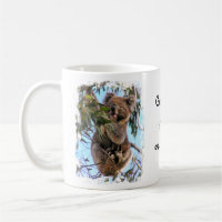Koala Austrália