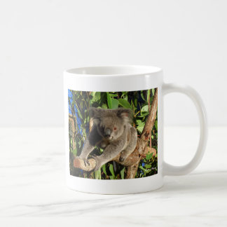 Caneca De Café Koala.jpg de escalada
