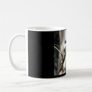 Caneca De Café Kookaburra Mug