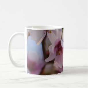 Caneca De Café Lã de Flor de Cereja Rosa