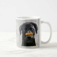 Labrador Preto com Osso no Nariz 2