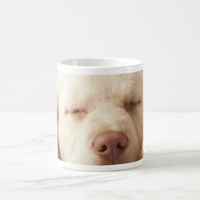 Caneca De Café Labrador retriever amarelo (Centro)