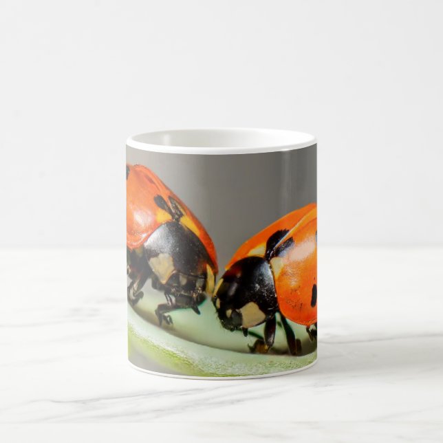 Caneca De Café Lady Bugs White Coffee Mug (Centro)