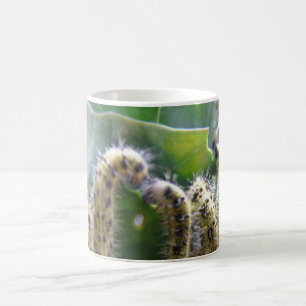 Caneca De Café Lagartas-brancas-do-repolho com fome Inseto