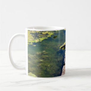Caneca De Café Lago Erie Metropark Turtle Log