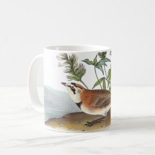 Caneca De Café Laranja de Corno por Audubon