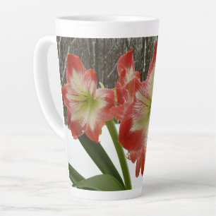Caneca De Café Latte Amaryllis no Feriado Vermelho de Neve Floral de in