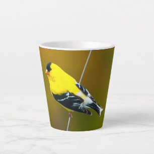Caneca De Café Latte American Goldfinch - Fotografia original
