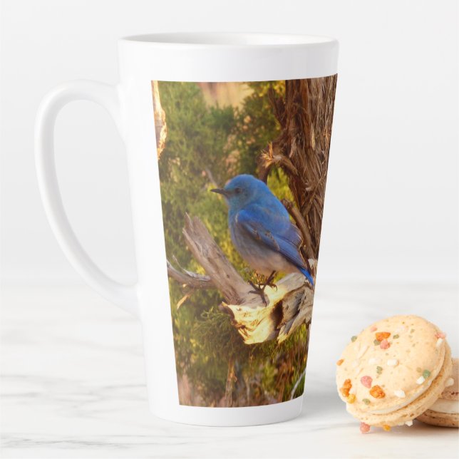 Caneca De Café Latte Azulinho-das-montanhas no Parque Nacional Arches (In Situ)