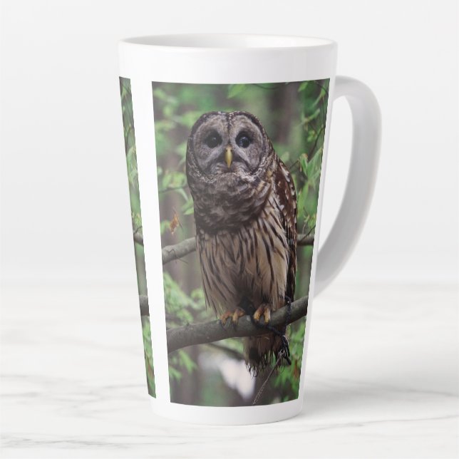 Caneca De Café Latte Barred Owl (Ângulo direito)