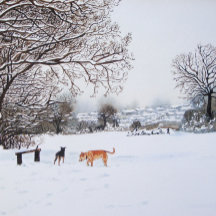 Cachorros tocando na paisagem da neve