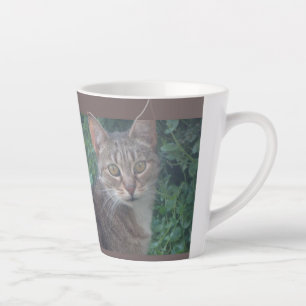 Caneca De Café Latte Design de gato giro