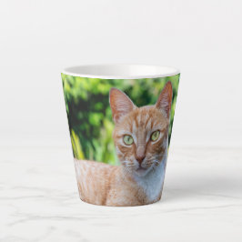 Caneca De Café Latte Doce gatinho