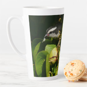 Caneca De Café Latte Fotografia de Pássaro Bananaquit Comendo Tropical