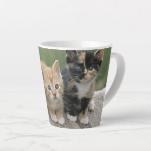 Caneca De Café Latte Gatinhos do Celeiro em uma Manta de Cavalo