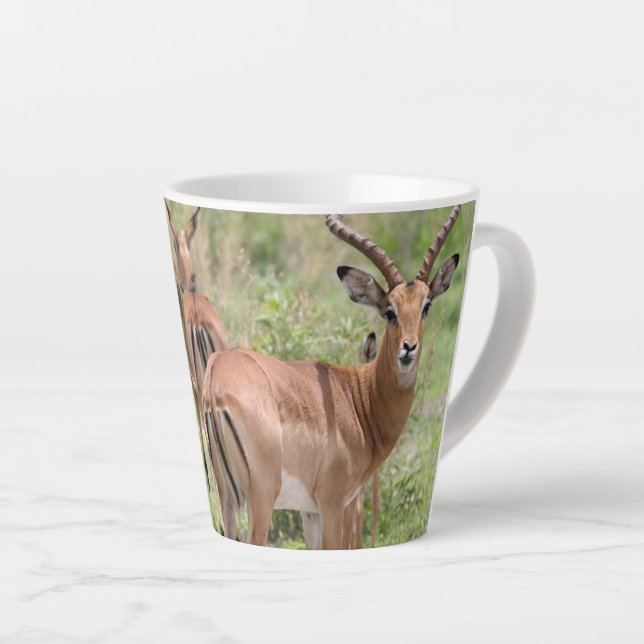 Caneca De Café Latte Impala no Delta do Okavango (Ângulo direito)