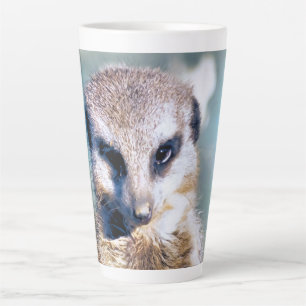 Caneca De Café Latte Lata de MEERKAT