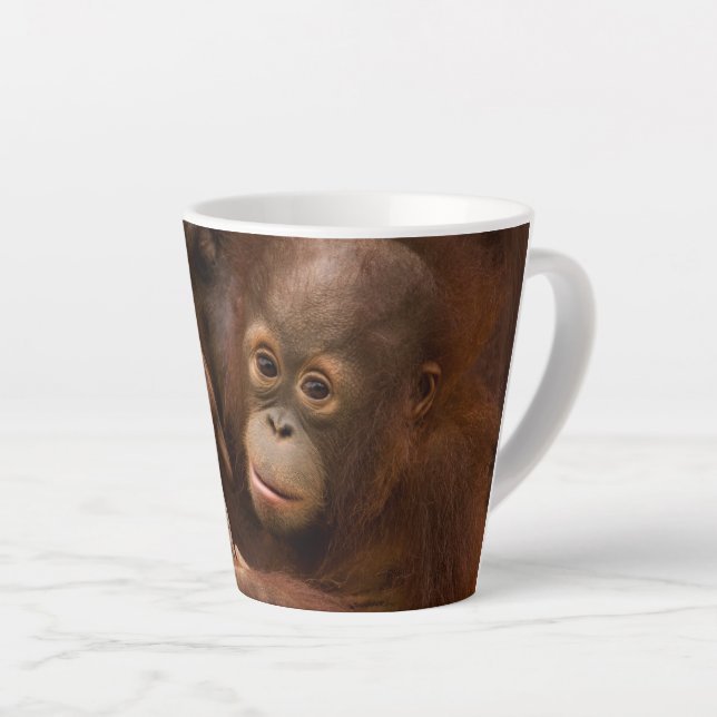Caneca De Café Latte Mãe de orangotango e bebê no zoológico (Ângulo direito)