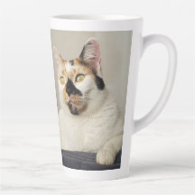 Melhor Foto Da Mãe De Cat