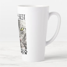 Melhor Mãe Gato do Mundo