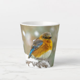 Caneca De Café Latte Pássaro-azul-do-leste na Neve - Fotografia Origina