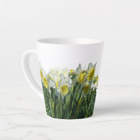 Pó de Daffodils Branco e Amarelo. Lâmpada Branca d