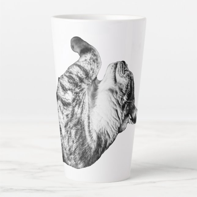 Caneca De Café Latte Pumpkin Spice Siesta (Frente)