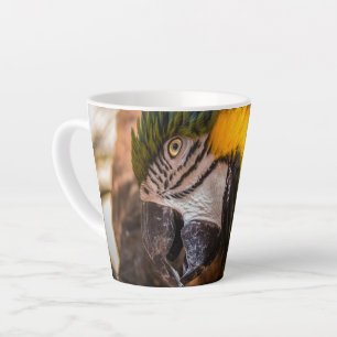 Caneca De Café Latte Retrato de arara azul e amarela